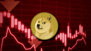 Doge Software Licenses Audit HUD – Full Breakdown & Digital Oversight