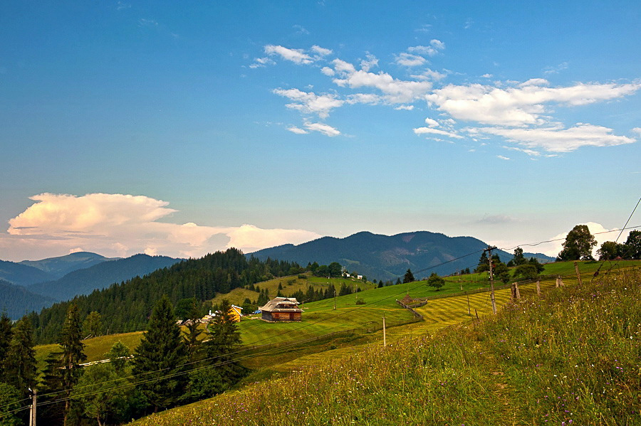 Common Ukrainian Zakarpattia farm types